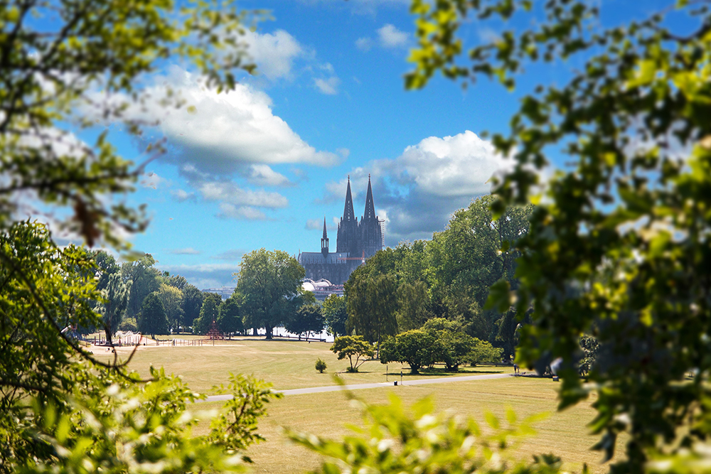 Blick auf den Kölner Dom